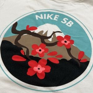 Nike SB Dri-Fit Tshirt 🌺🏔️